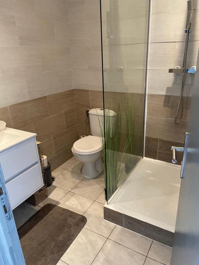 Centre Carcassonne Apartment With Private Sunny Terrace Экстерьер фото